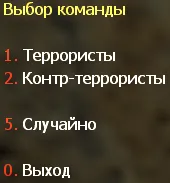 Выбор команды